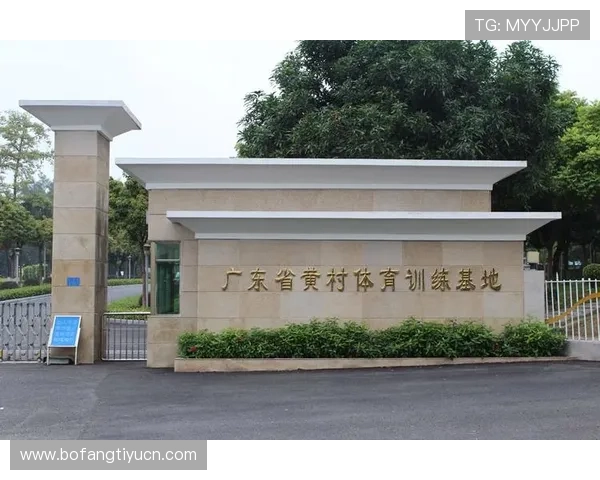 九鼎体育品牌优势：专业体育内容提供与用户体验优化策略